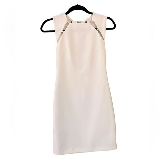 Alice + Olivia Dresses & Skirts - Alice + Olivia Ivory Sheath Dress with Silver Chain Trim